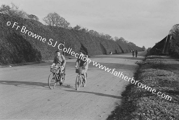 PHOENIX PARK MAIN ROAD WITH WARTIME TURF CLAMPS